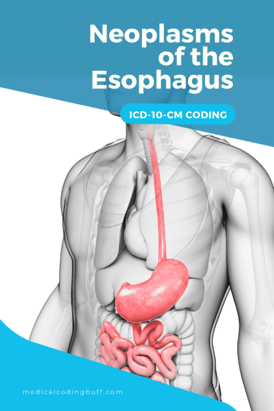 Hone in on Coding for Esophageal Cancer ICD--CM - Medical Coding