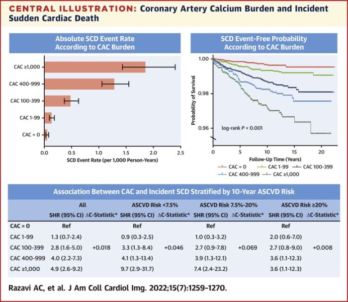 Coronary Artery Calcium for Risk Stratification of Sudden Cardiac