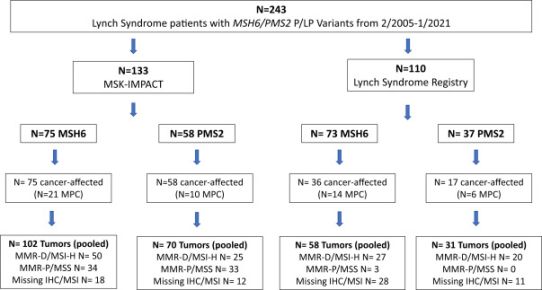 Early age of onset and broad cancer spectrum persist in MSH- and