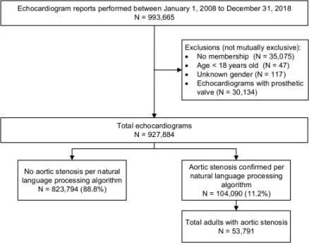 Large-scale identification of aortic stenosis and its severity