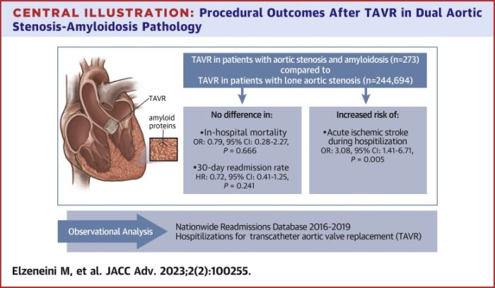 Outcomes of Transcatheter Aortic Valve Replacement in Patients