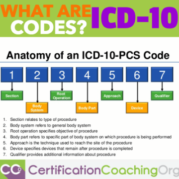 What Are ICD  Codes? - Certification Coaching Organization